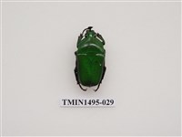 藏品(臺灣扇角金龜)的圖片